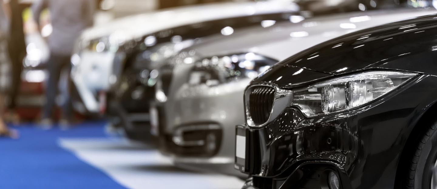 Adriatic Premium Rentals